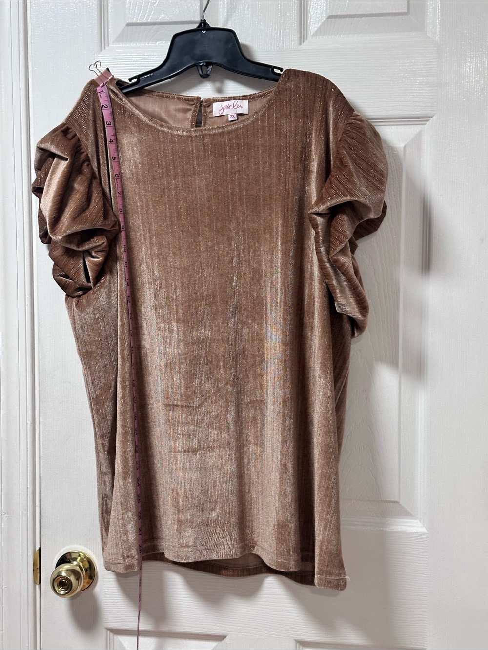 Jess Lea Bronze Velvet Ruffle Sleeve Top